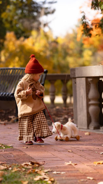 Pull-Along Eliot-Egmont-Fritz and Gigi