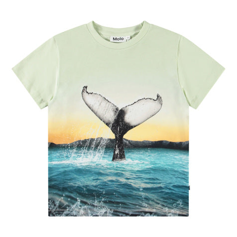 T-Shirt  Rame Whale tail