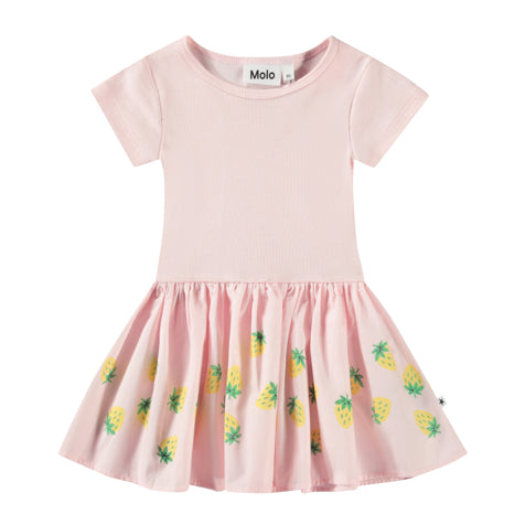 Dress Carin Bouncy Berries