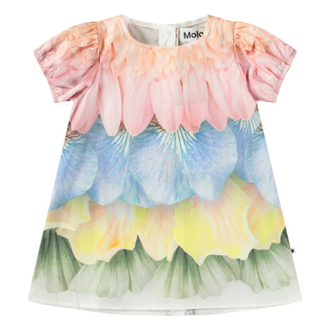 Dress Caja Petal Rainbow