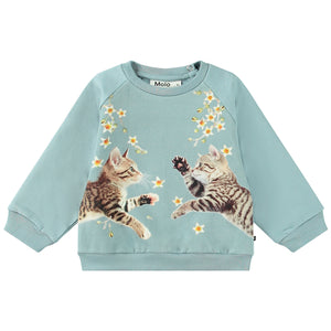 Disc Sweatshirt Kitten