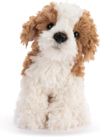Maltipoo