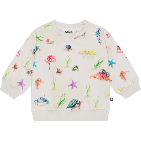Disc Hermit Crab Sweatshirt
