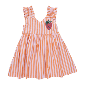 Via Dress Orange Pink Stripe